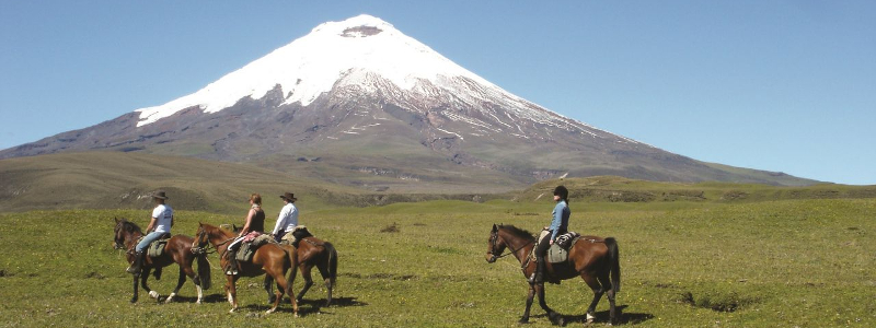 cotopaxi-horses-ecuador-1280x679